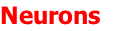 Neurons 
