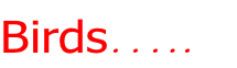 Birds….. 
